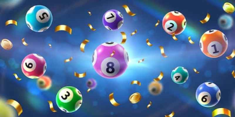 bach-thu-lo-nuoi-khung-3-ngay-2